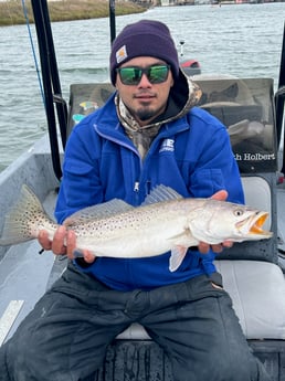 Speckled Trout / Spotted Seatrout Fishing in Corpus Christi, Texas