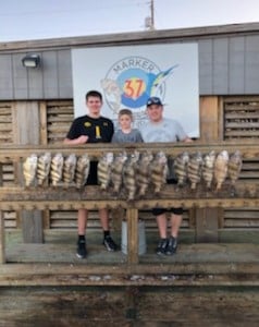 Sheepshead fishing in Corpus Christi, Texas