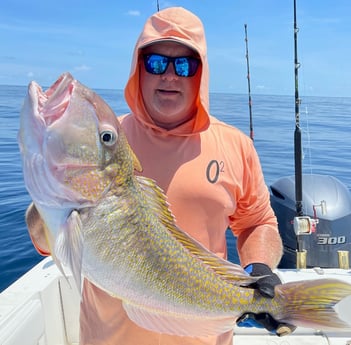 Tilefish fishing in Freeport, Texas