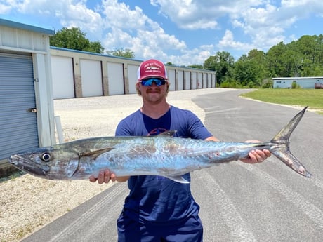 King Mackerel / Kingfish fishing in Gulf Shores, Alabama