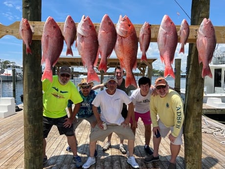 Red Snapper fishing in Orange Beach, Alabama