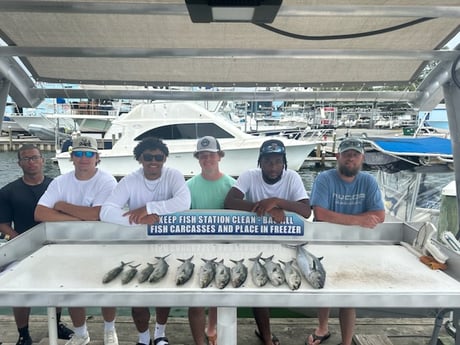 Bluefish, Spanish Mackerel Fishing in Destin, Florida