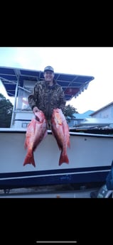 Red Snapper Fishing in Dauphin Island, Alabama