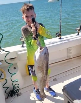 Redfish Fishing in Galveston, Texas