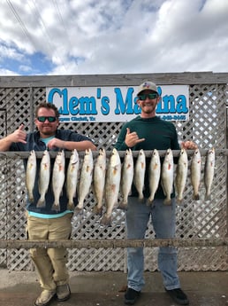 Redfish, Speckled Trout / Spotted Seatrout fishing in Corpus Christi, Texas