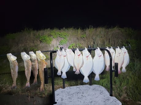 Flounder, Redfish Fishing in Rio Hondo, Texas