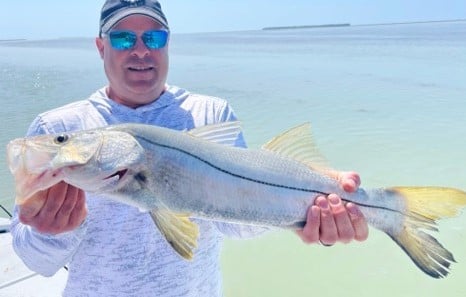 Snook fishing in Tavernier, Florida