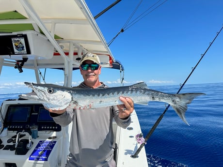 Barracuda Fishing in Fort Lauderdale, Florida