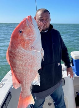 Red Snapper Fishing in Freeport, Texas