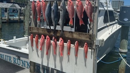 Fishing in Destin, Florida