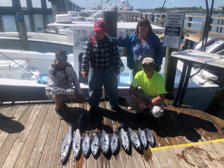 Gag Grouper fishing in Port Orange, Florida