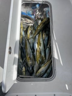 Fishing in Santa Rosa Beach, Florida