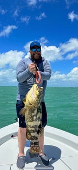 Goliath Grouper Fishing in Key West, Florida