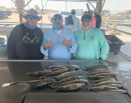 Speckled Trout / Spotted Seatrout fishing in Matagorda, Texas