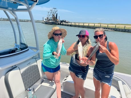 Speckled Trout / Spotted Seatrout fishing in Galveston, Texas