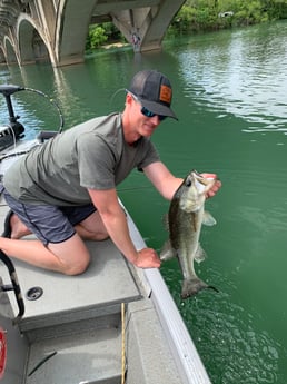 Largemouth Bass fishing in Austin, Texas