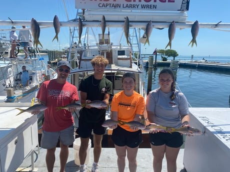 Yellowtail Snapper fishing in Islamorada, Florida