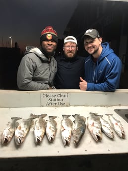 Speckled Trout Fishing in Galveston, Texas