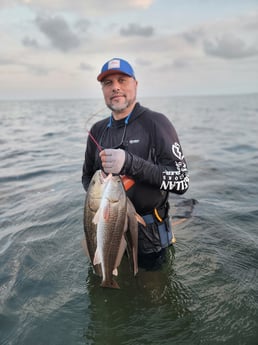 Redfish Fishing in South Padre Island, Texas