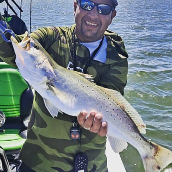 Speckled Trout / Spotted Seatrout fishing in Corpus Christi, Texas