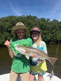 Redfish Fishing in St. Petersburg, Florida