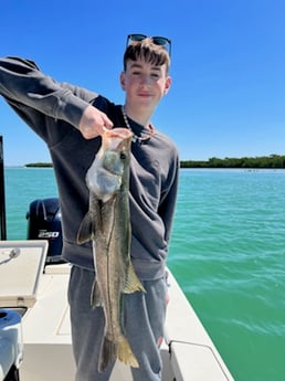 Snook fishing in Fort Myers, Florida