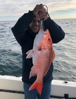 Red Snapper Fishing in Jacksonville, Florida