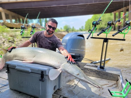 Alligator Gar fishing in Dallas, Texas