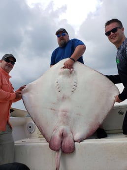 Fishing in Pensacola, Florida