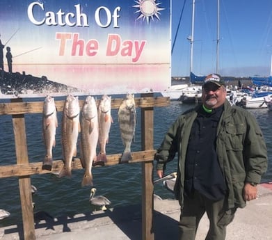 Black Drum, Redfish Fishing in Rockport, Texas