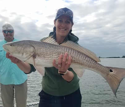 Redfish fishing in Clearwater, Florida