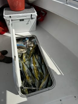 Fishing in Santa Rosa Beach, Florida