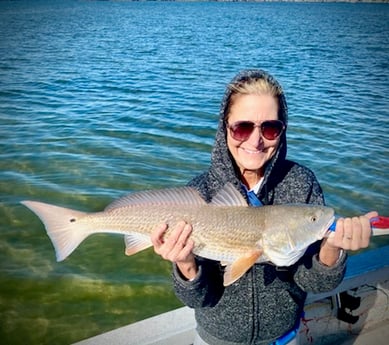 Redfish fishing in St. Petersburg, Florida