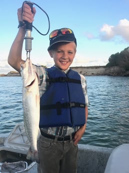 Speckled Trout / Spotted Seatrout fishing in Port Aransas, Texas