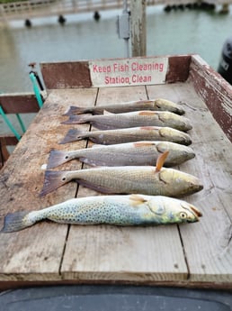 Redfish, Speckled Trout Fishing in South Padre Island, Texas