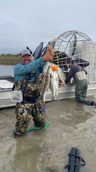 Redfish, Speckled Trout Fishing in Port O&#039;Connor, Texas