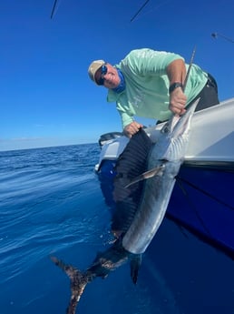 Sailfish Fishing in Marathon, Florida