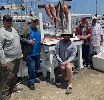 Blacktip Shark, Red Snapper Fishing in Destin, Florida