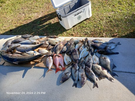 Fishing in Wrightsville Beach, North Carolina