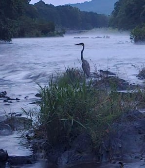 Fishing in Broken Bow, Oklahoma