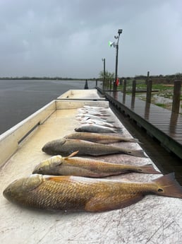 Redfish, Speckled Trout Fishing in Galveston, Texas