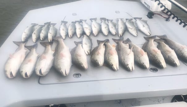 Redfish, Speckled Trout / Spotted Seatrout fishing in Rockport, Texas