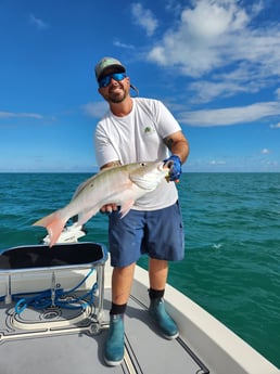 Fishing in Key Largo, Florida