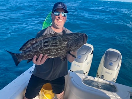 Mahi Mahi / Dorado fishing in Marathon, Florida