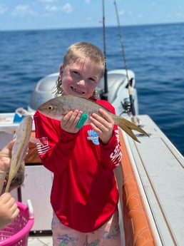 Fishing in Fort Myers, Florida