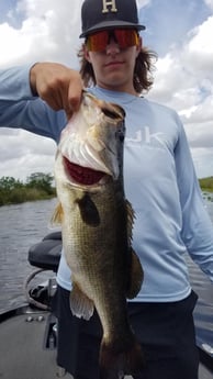 Largemouth Bass fishing in Fort Lauderdale, Florida