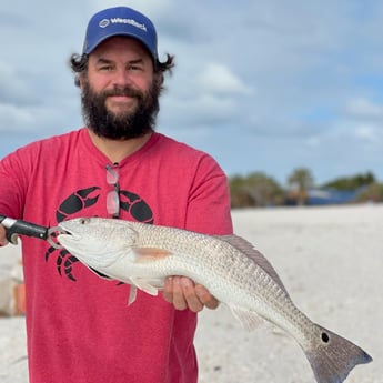 Fishing in Sarasota, Florida