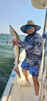 Blacktip Shark Fishing in Mount Pleasant, South Carolina