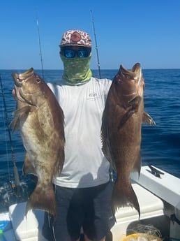 Fishing in Orange Beach, Alabama