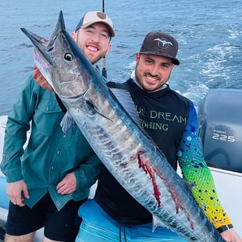 Wahoo fishing in Miami Beach, Florida